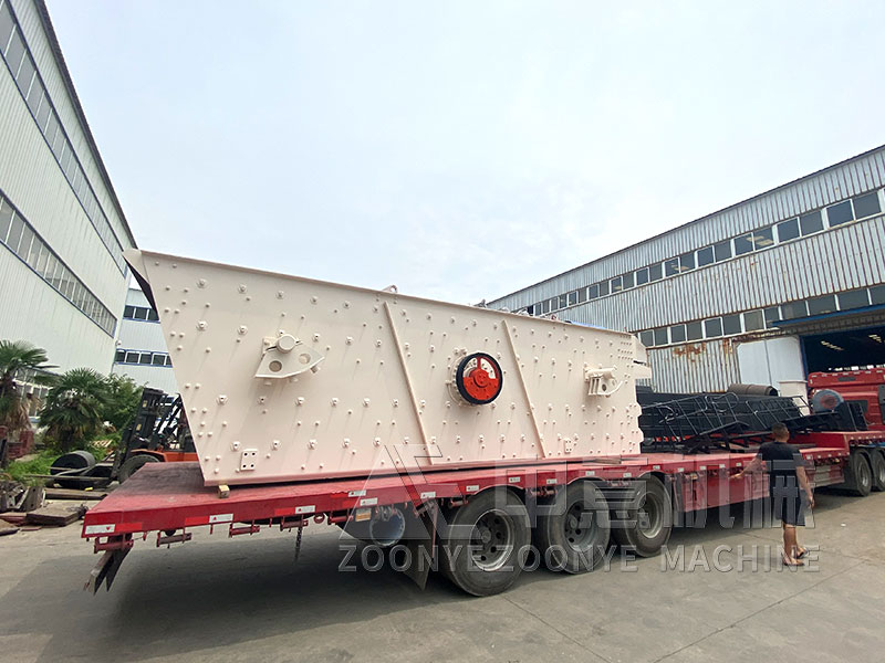 存量垃圾處理站振動(dòng)篩工廠實(shí)拍圖片